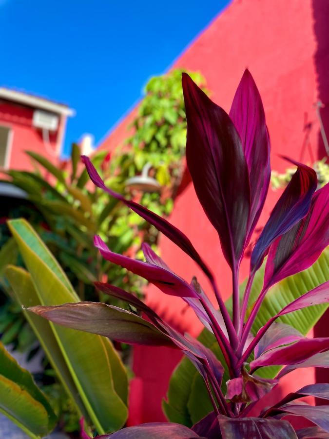 Pousada Kawaii Porto Seguro Buitenkant foto